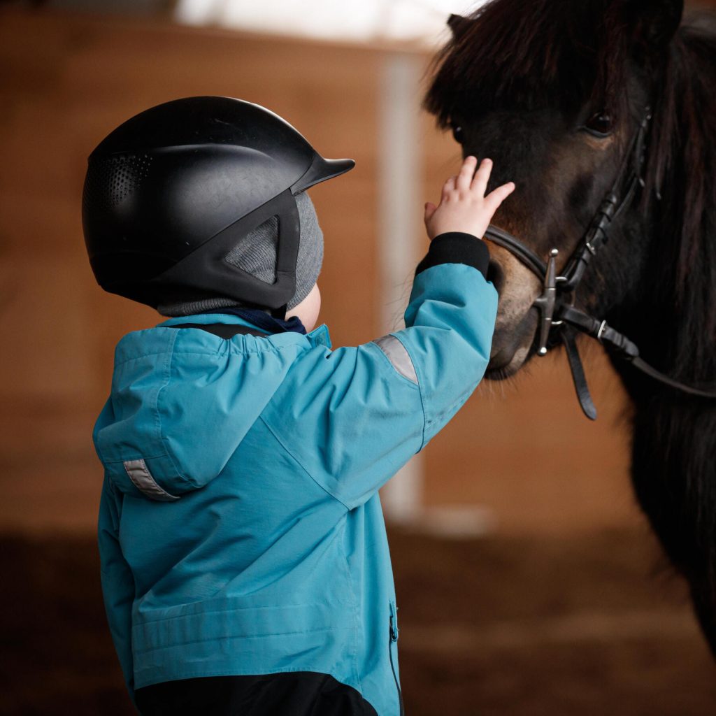 Équitation au Club équestre Haras de la Tesnière