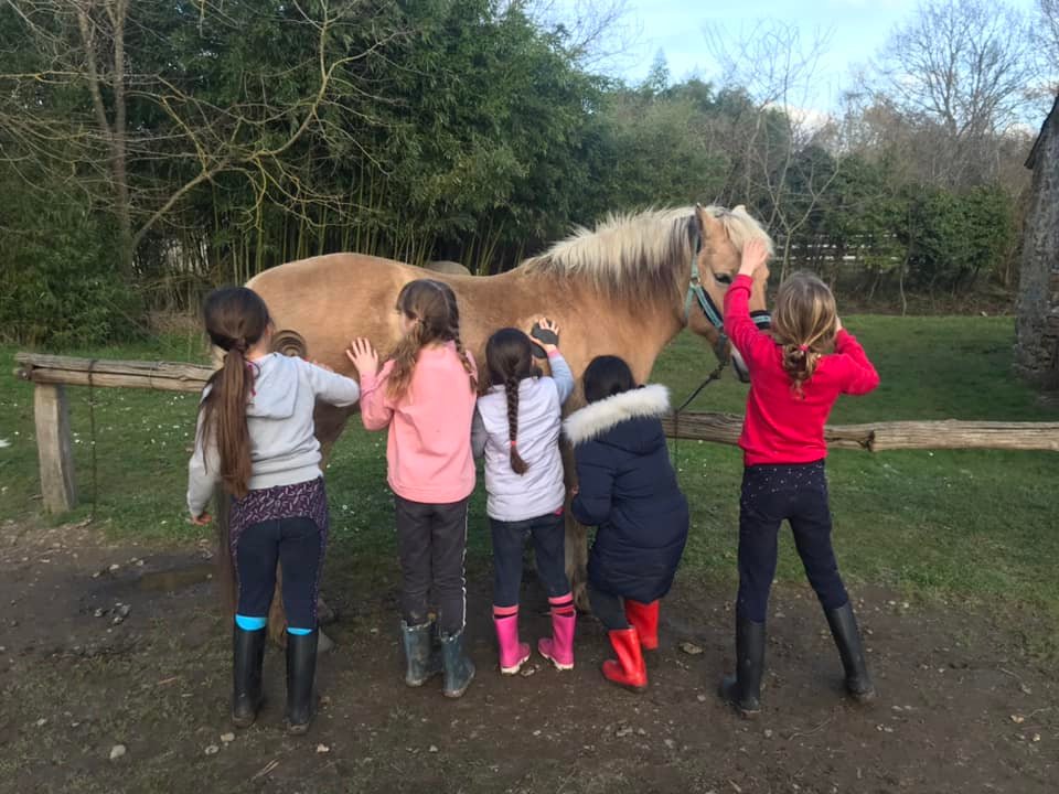 equitation-pour-tous